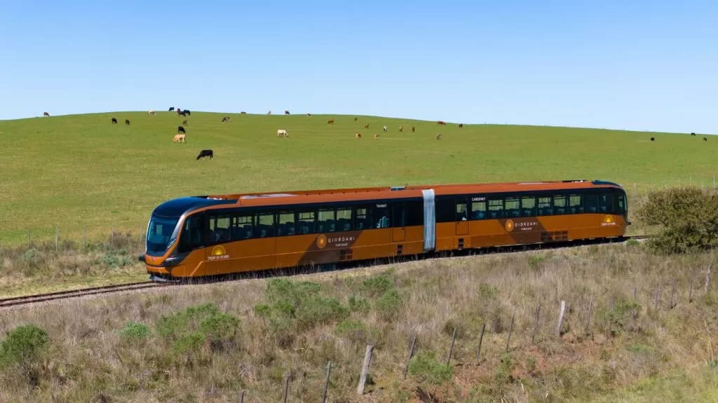 Composição do Trem do Pampa em campo aberto